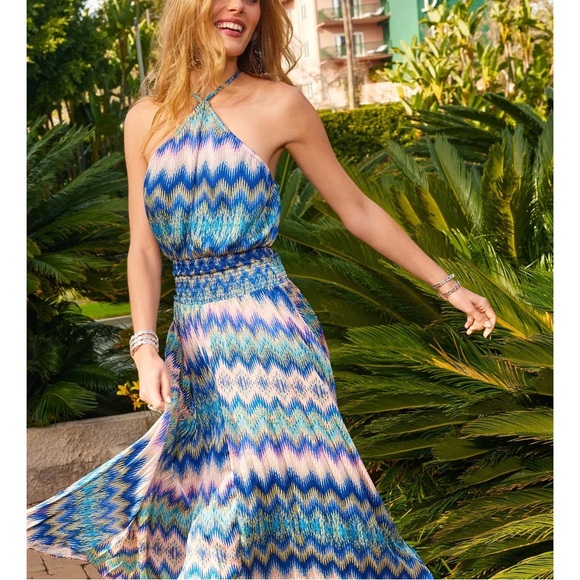 NWT Ramy Brook Giana Halter Maxi Dress Blue Pink Retro Chevron Sz XXL - Picture 2 of 16